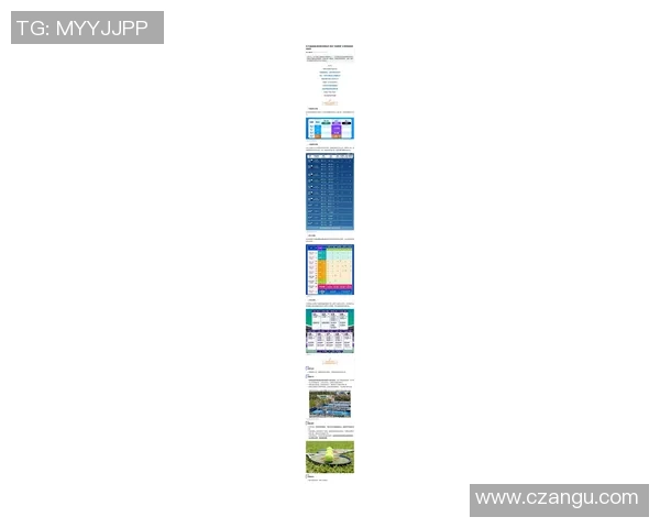 上海网球队在挑战赛中的实力展现与战术分析全面点评