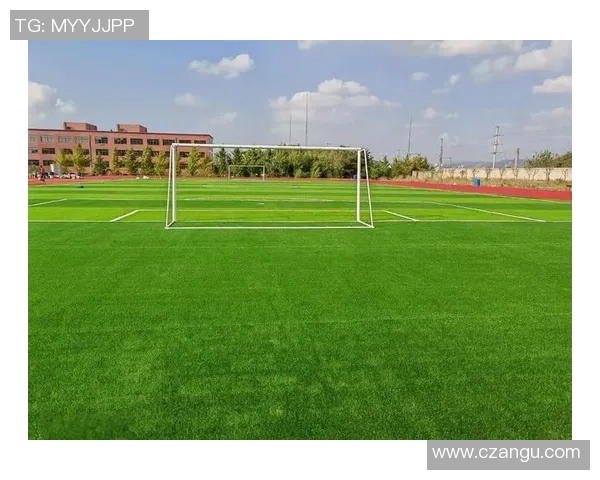 专业足球场地建设与维护的重要性及其对足球发展的影响分析