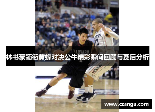 林书豪领衔黄蜂对决公牛精彩瞬间回顾与赛后分析
